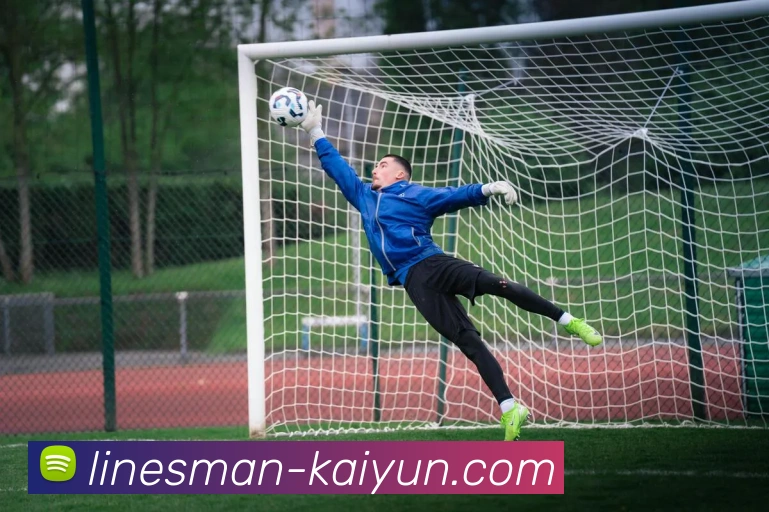 开云平台APP 高清赛事图